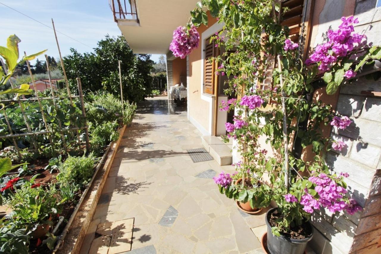 Apartments Marija Savudrija Exterior foto